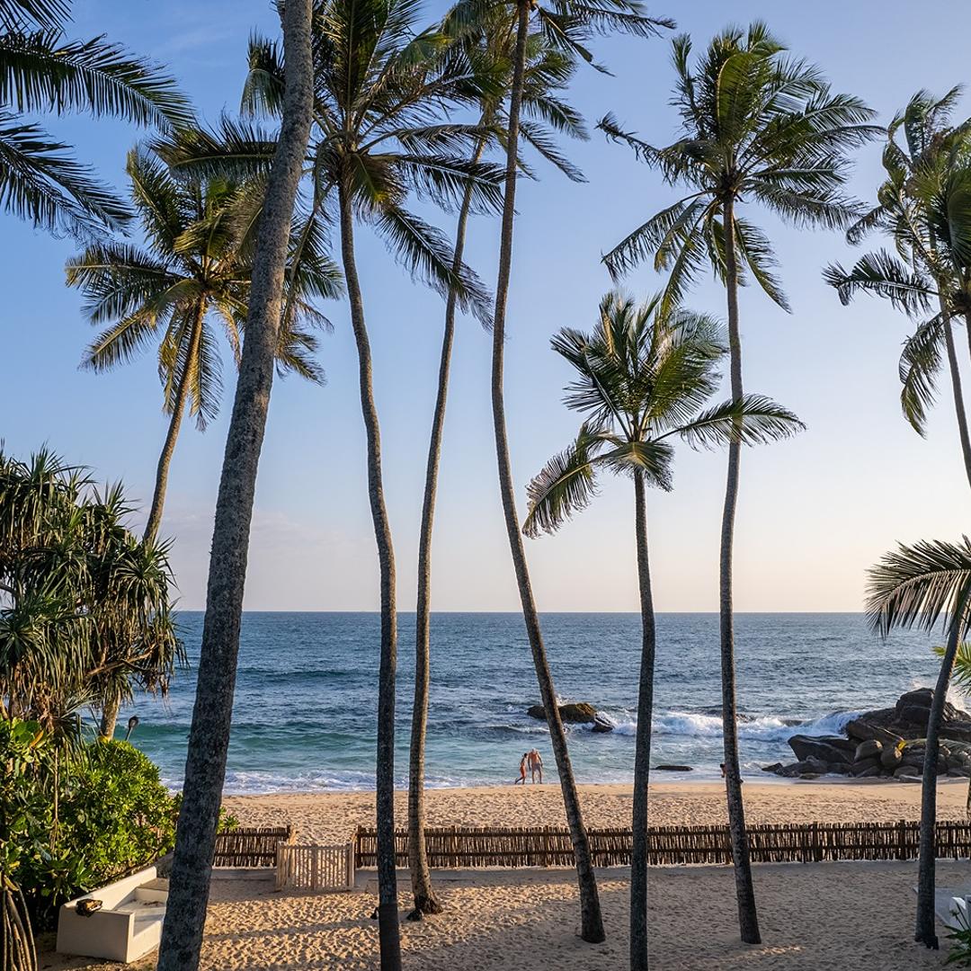 Unawatuna beach coconut palms with blue Indian Ocean at golden hour Sri Lanka