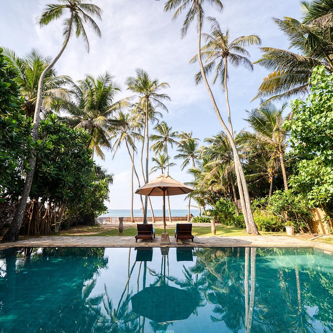 Villa Bleu Unawatuna private pool and garden with coconut palms and blue sky