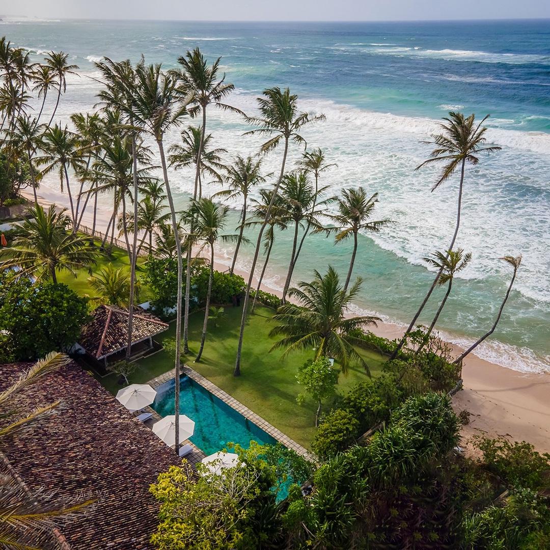 Tide House Habaraduwa pool umbrella and plant view