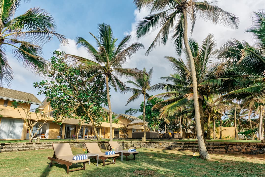 Beachfront villa pool and tropical garden with swaying palm trees in Wadduwa