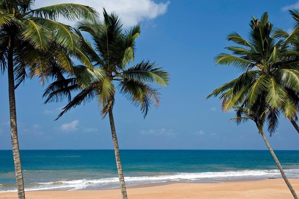 Villa outdoor pool lined with palm trees and direct beach access in Induruwa