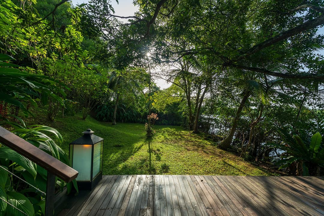 Timber jetty path winding through dense tropical garden canopy to the lake