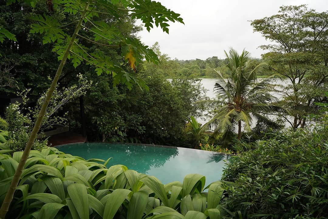 Bolgoda Lake villa garden and lake view with tropical trees under overcast sky