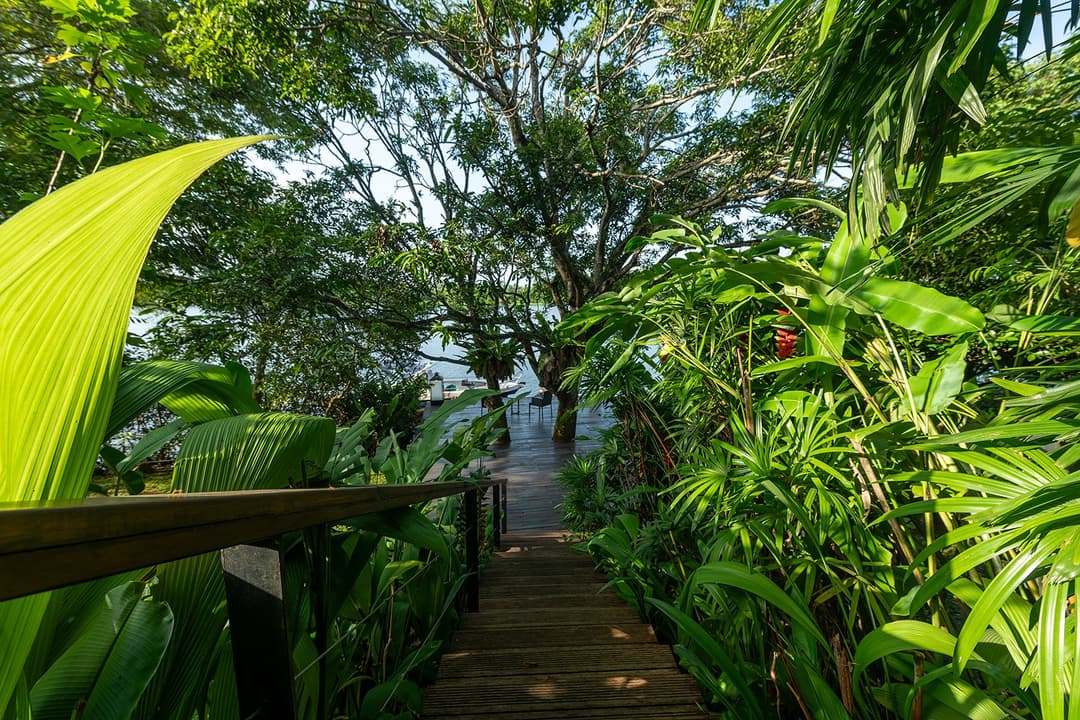 Bolgoda Lake villa lush tropical garden with palms and timber deck terrace