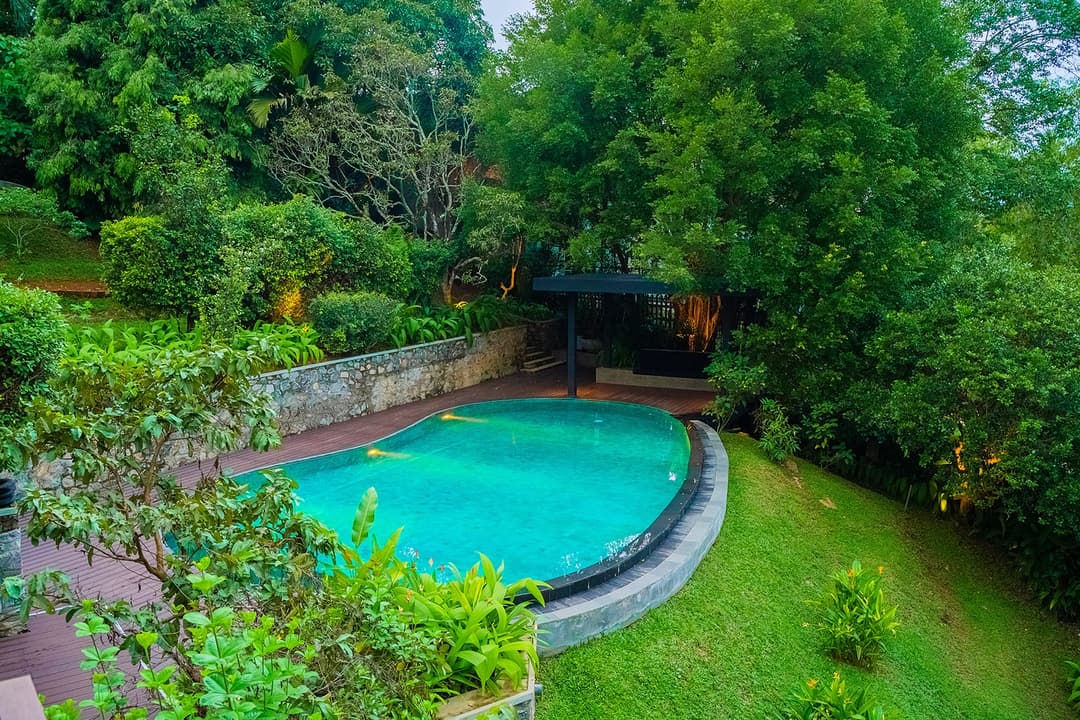 Aerial view of Celeste Bolgoda freeform pool surrounded by tropical garden
