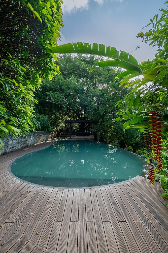 Celeste Bolgoda freeform lagoon pool nestled in lush tropical garden Panadura