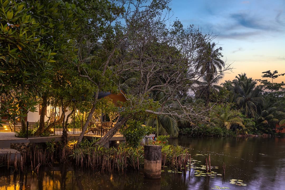 Villa waterfront deck with tropical trees and calm lake at evening