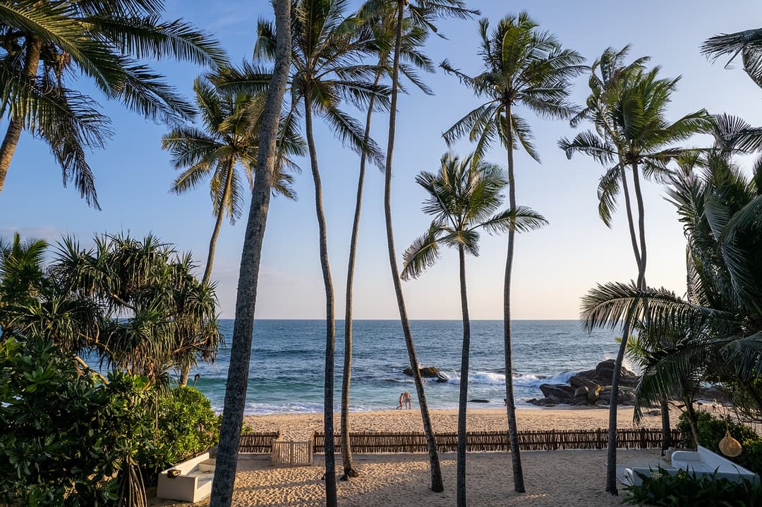 Unawatuna beach coconut palms with blue Indian Ocean at golden hour Sri Lanka