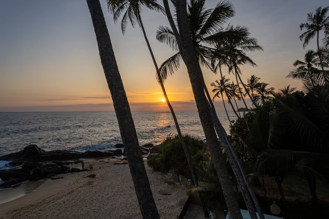 Unawatuna beach sunset with palm tree silhouettes against golden sky Sri Lanka