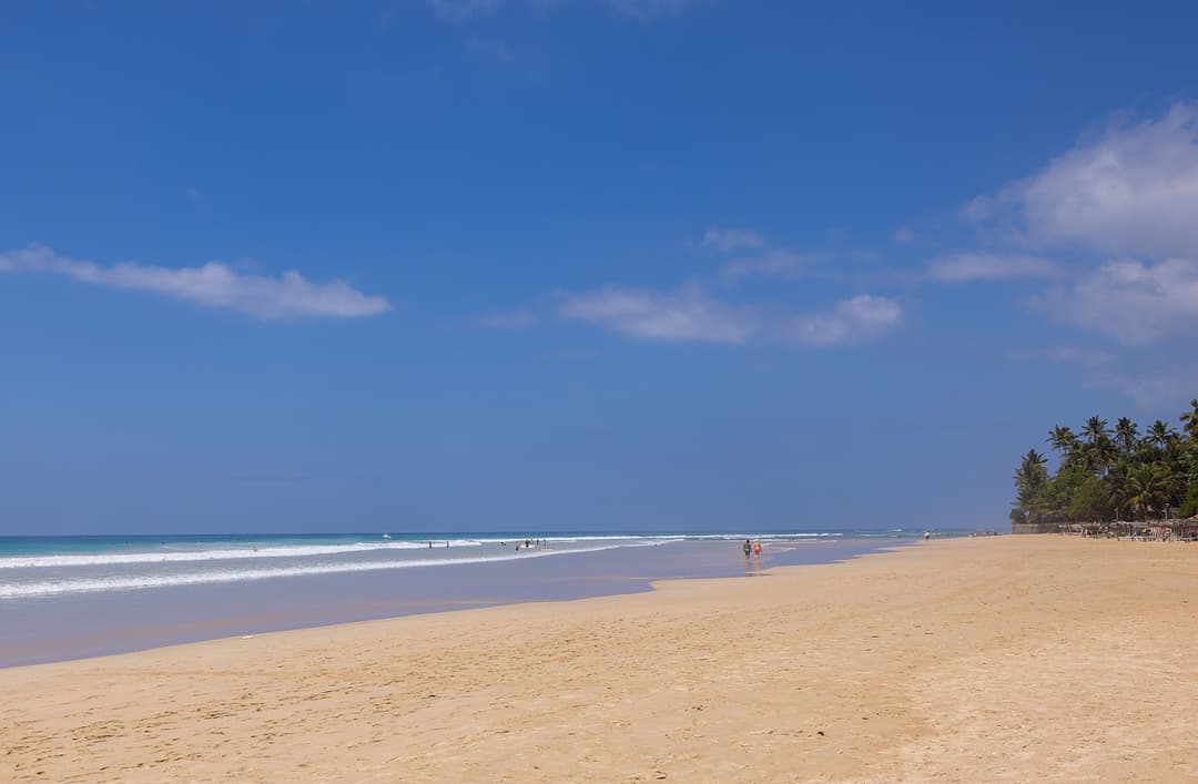 Kabalana Beach Ahangama golden sand with palm trees and clear blue sky