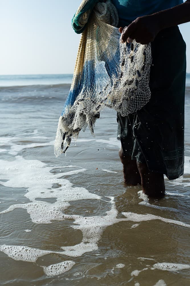 Sri Lanka stilt fisherman in golden sunset light on Indian Ocean