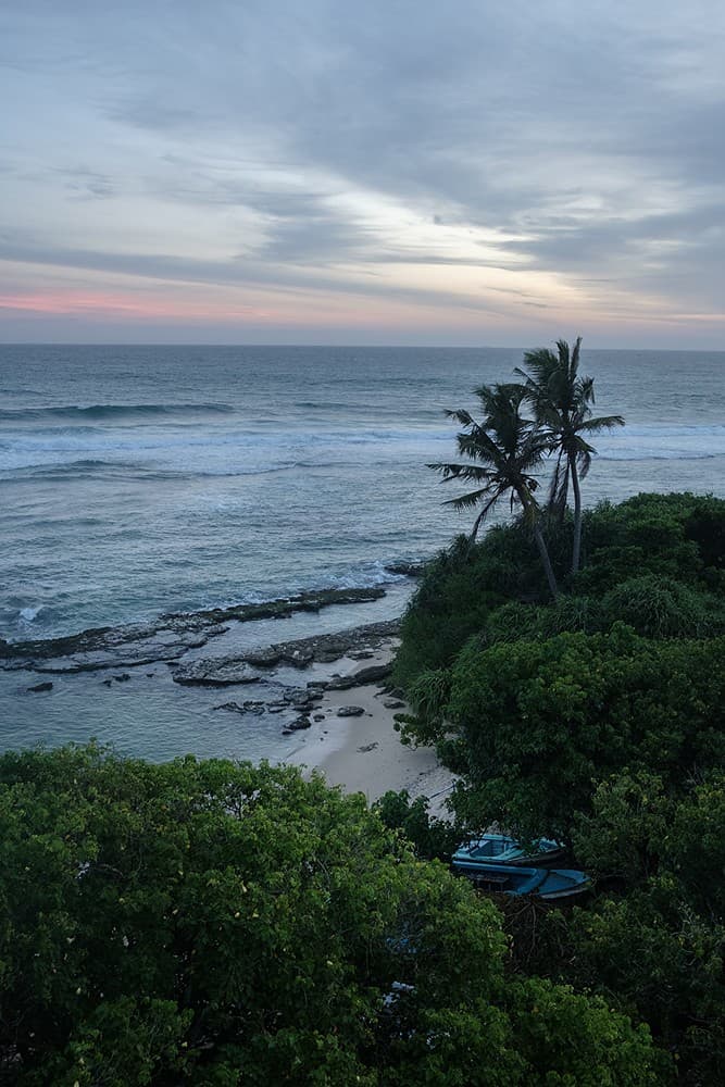 Thalaramba coastal view with Indian Ocean and palm trees at dusk
