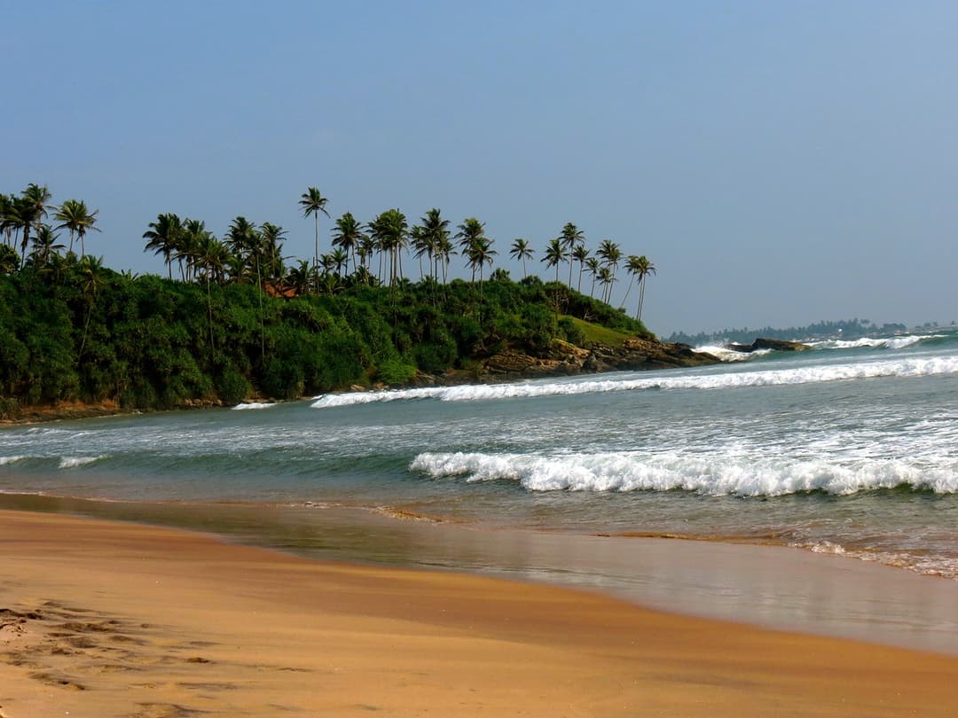 Secluded Matara beach with clean waves and palm trees Sri Lanka
