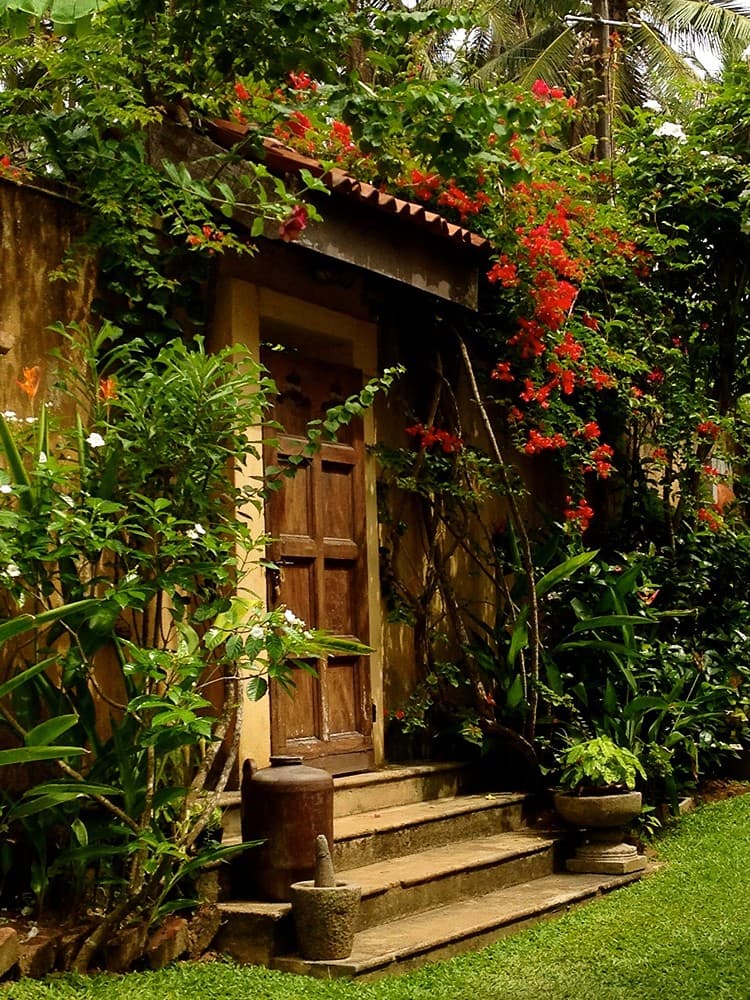 Matara villa entrance door with bougainvillea flowers and tropical garden