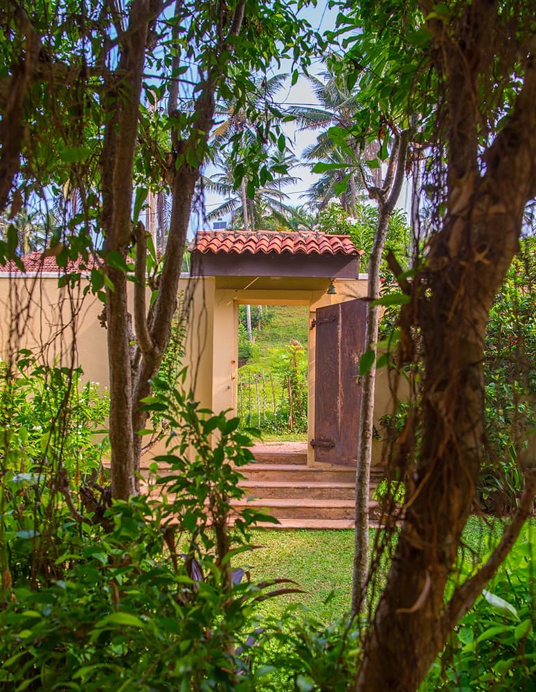Matara villa entrance looking out to coconut grove and tropical garden