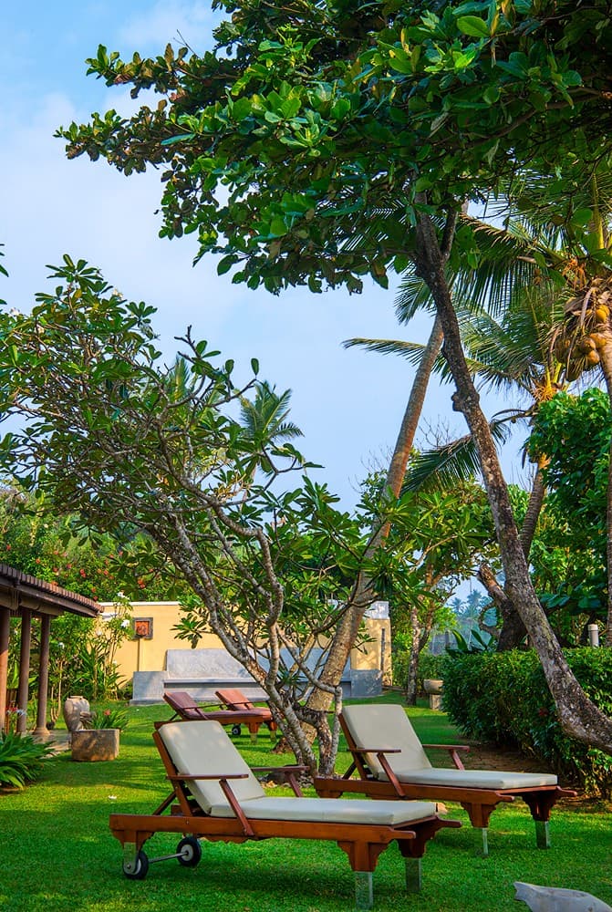 Matara villa garden deck chairs with pool and coconut palm view