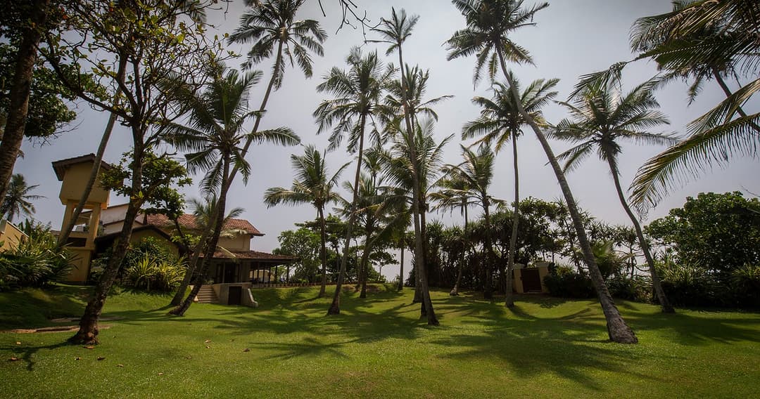 Villa Tres Matara exterior view with coconut palm trees and garden