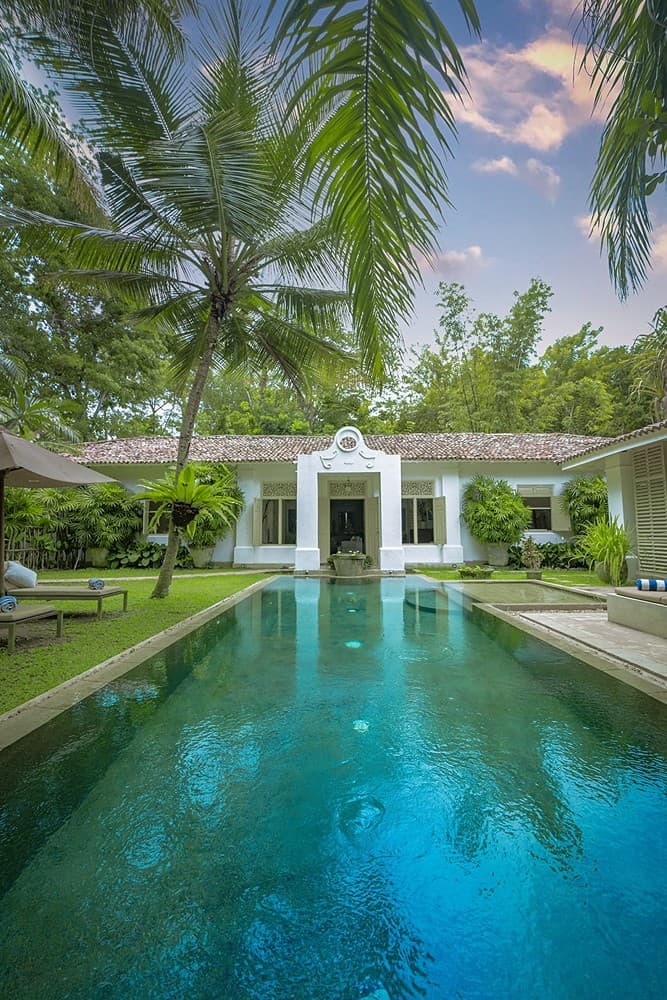 Rivers Edge pool with blue water and palm tree canopy