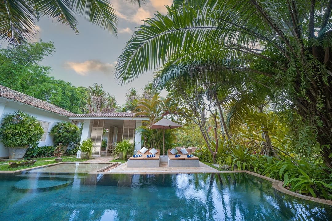 Rivers Edge garden with coconut grove and pool