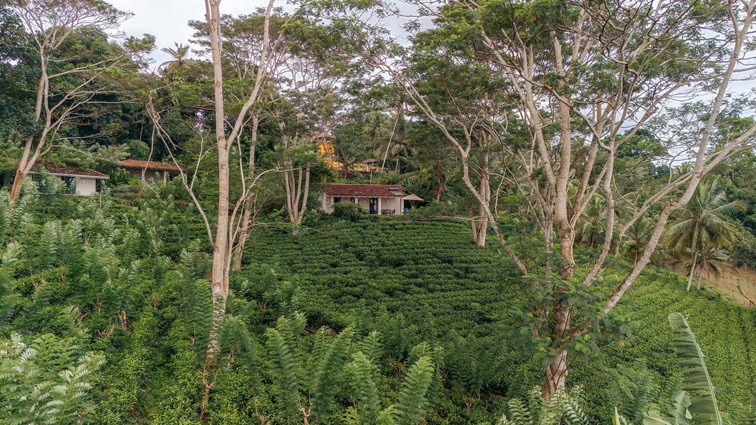 Kahanda Kanda aerial drone view of tea estate and surrounds