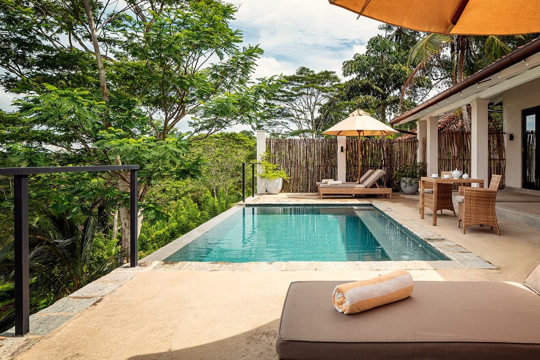 Kahanda Kanda infinity pool with panoramic jungle canopy view