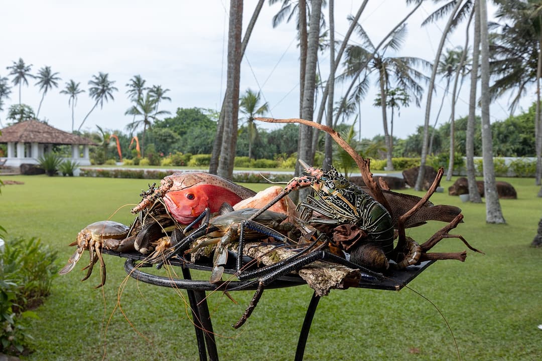 Heritage House Bentota fresh seafood catch