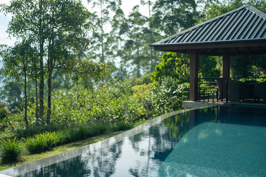 Camellia Hills infinity pool set within forest and garden, Dickoya, Sri Lanka