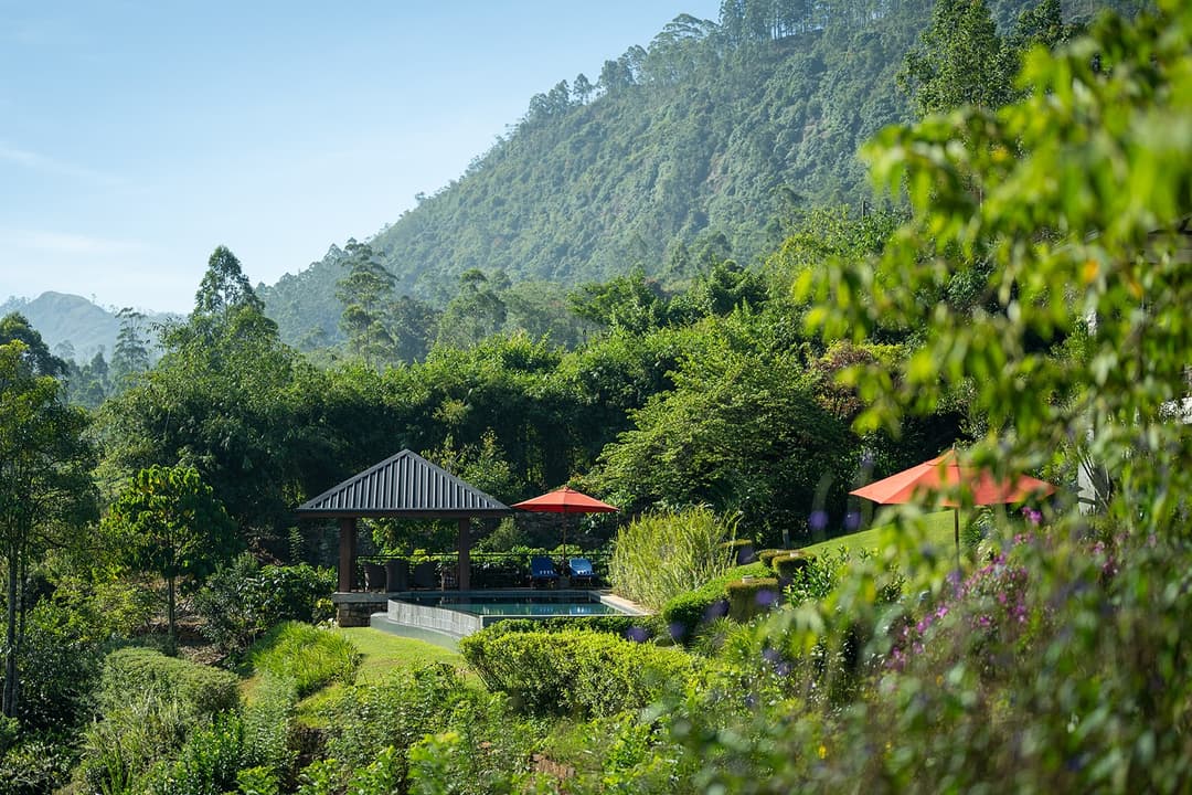 Camellia Hills pool overlooking tea estates and forest, Dickoya, Sri Lanka