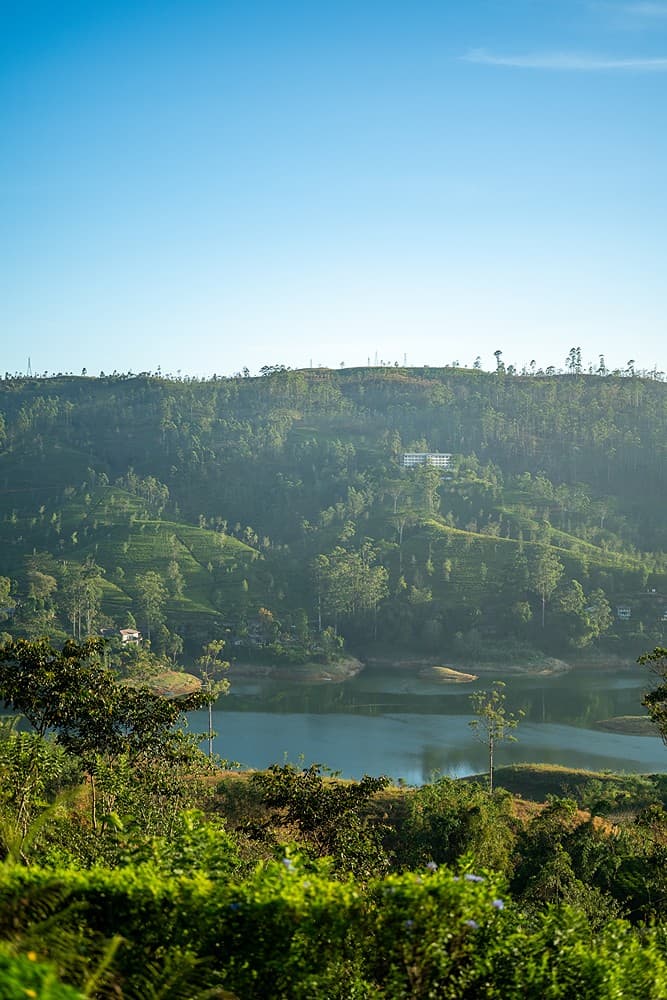 Reservoir and tea estate panorama from Camellia Hills, Dickoya, Sri Lanka
