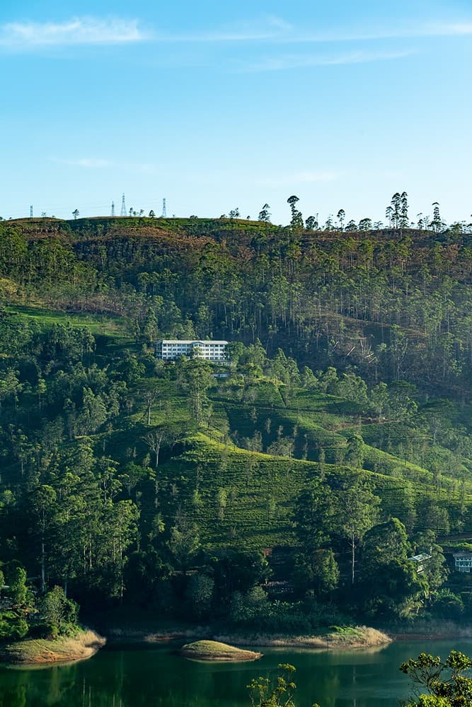 Lush green tea hills and valley view from Camellia Hills, Dickoya, Sri Lanka