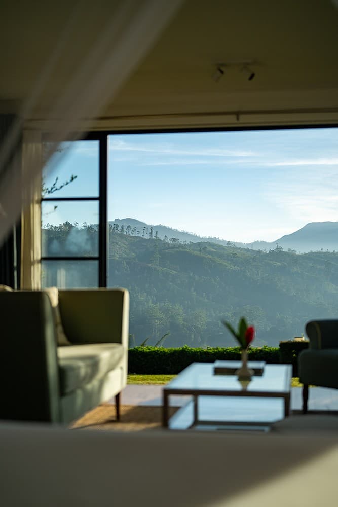 Warleigh suite with floor-to-ceiling window and tea valley views, Camellia Hills