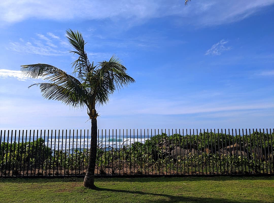Oceanfront fence with coconut palms and Indian Ocean views at Salt and Stone, Ahangama