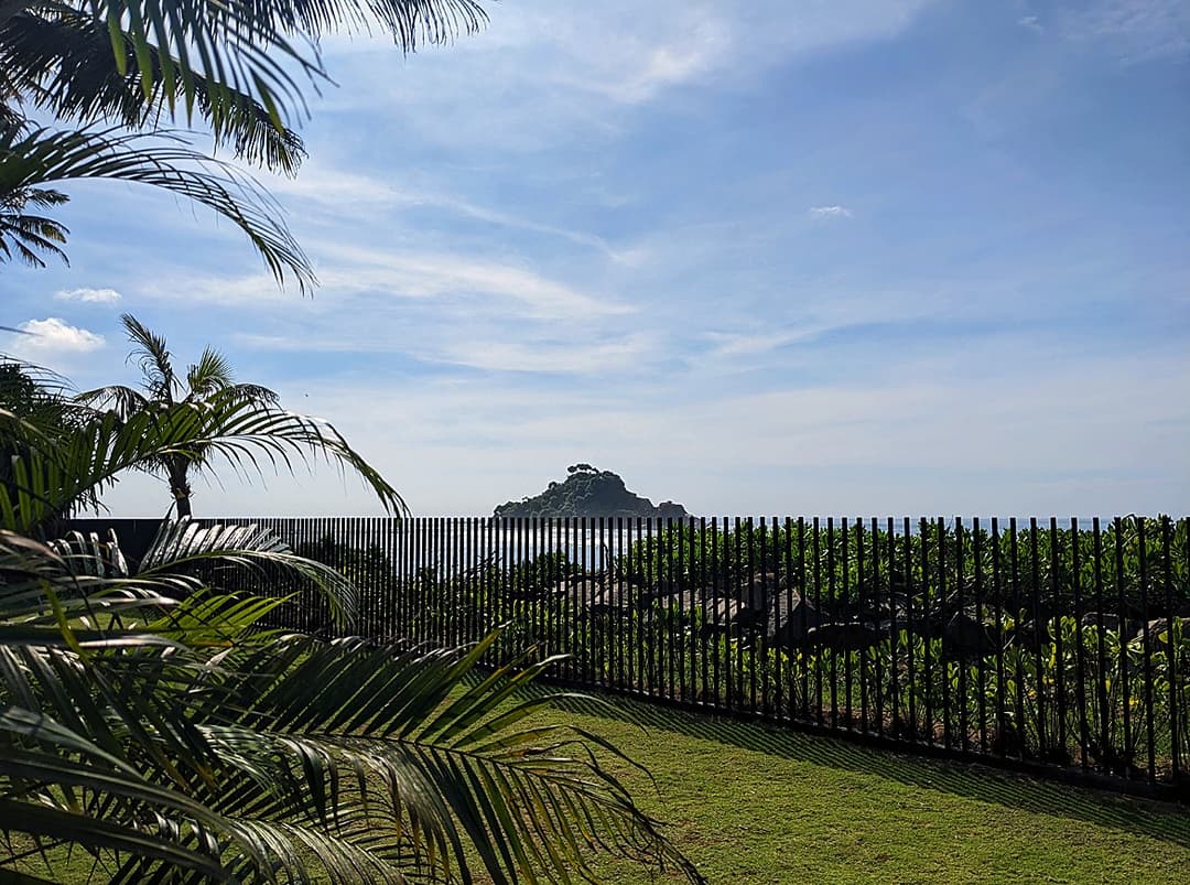 Salt and Stone garden path with fence and coconut palms, Ahangama, Sri Lanka