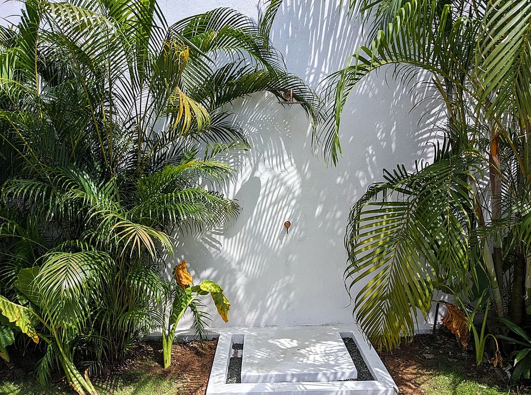 Bathroom with tropical plant wall feature and stone basin at Salt and Stone, Ahangama