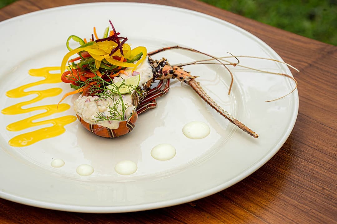 Artistically plated lobster dish from Island Villa Ahangama kitchen, Ahangama, Sri Lanka