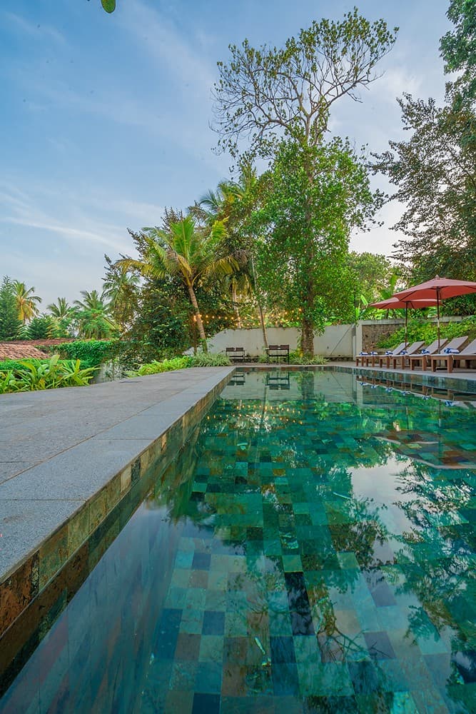 Island Villa Ahangama pool in afternoon light with sun loungers and garden planting