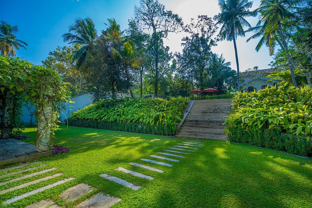 Island Villa Ahangama 13-metre pool with terrace steps and coconut palms, Ahangama, Sri Lanka