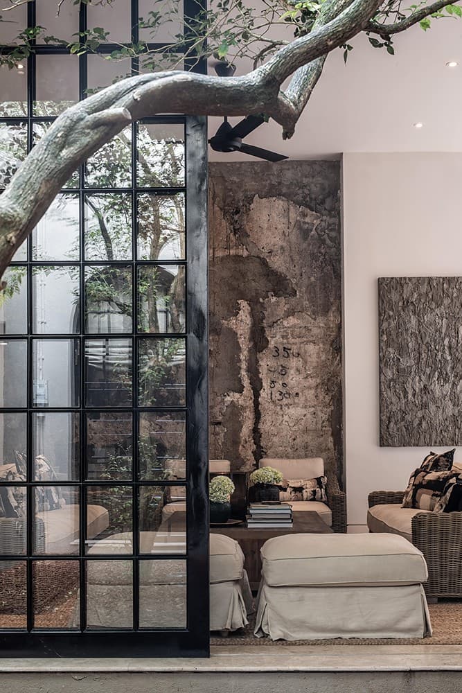 Living tree with arched colonial stone windows, No. 77 Leyn Baan, Galle Fort, Sri Lanka