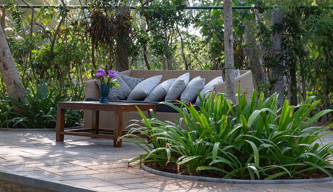 Garden with sun loungers under tropical planting at Abiman, Dickwella, Sri Lanka