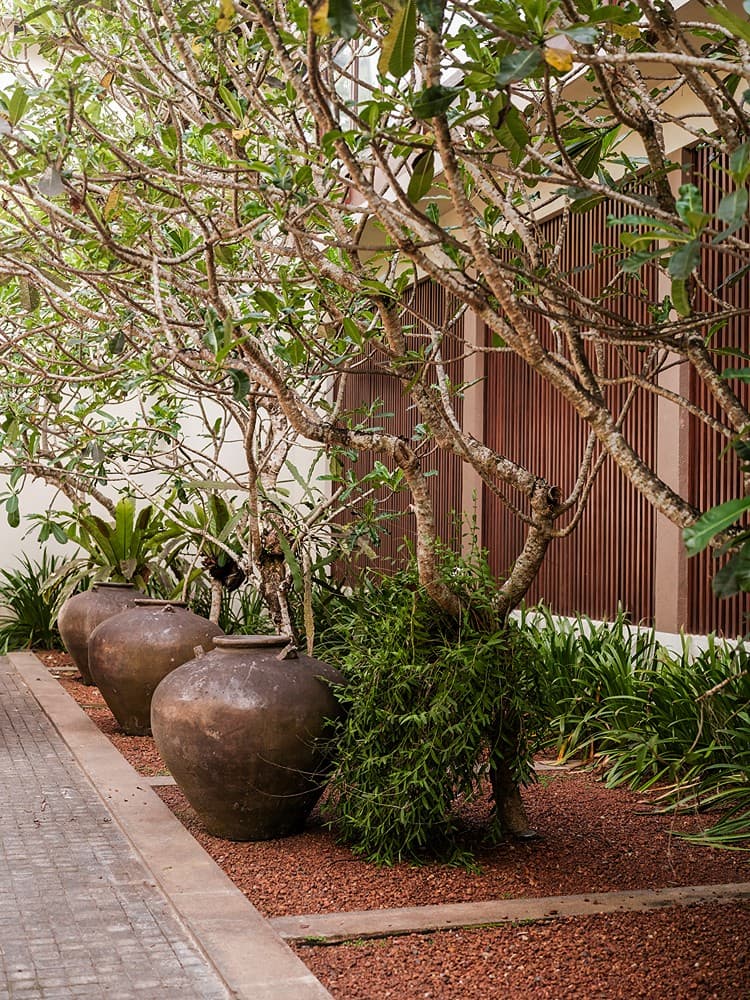 Garden entrance path with pots, The Villa by CC Wadduwa