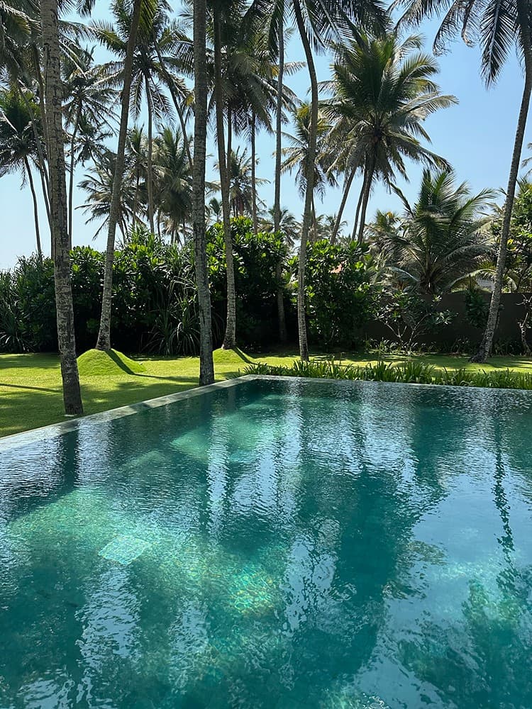 Outdoor pool with palms wide view, The Villa by CC Wadduwa