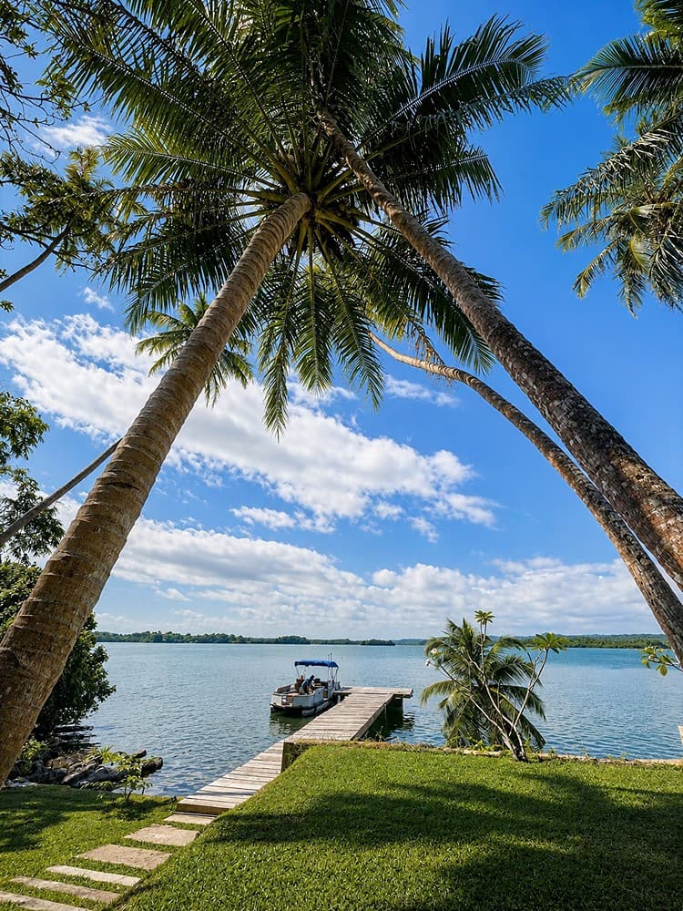 Koggala Lake jetty pathway framed by palm trees