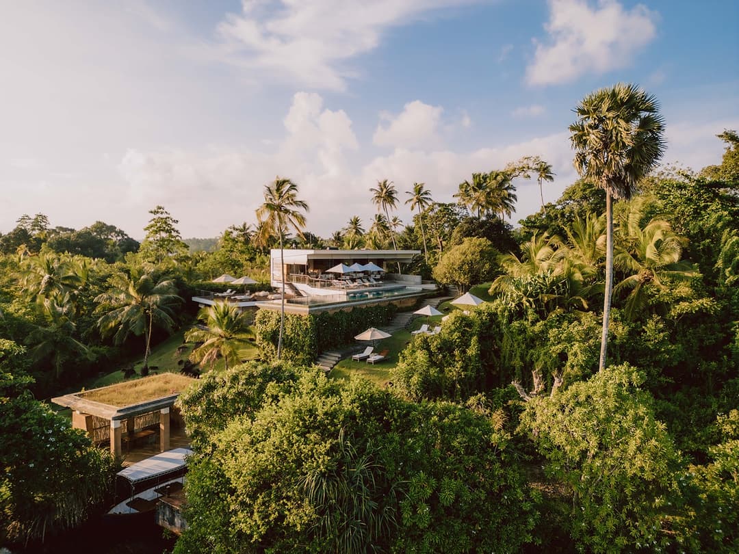 Tri Ahangama aerial view among palm trees