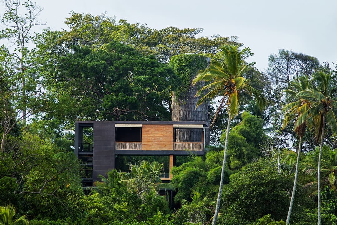Tri Ahangama Yoga Shala exterior forest view