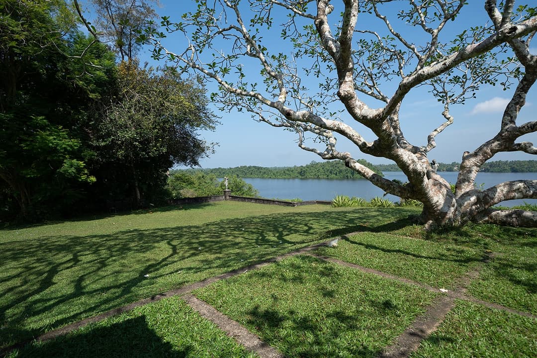 Lunuganga Bentota garden tree canopy lawn