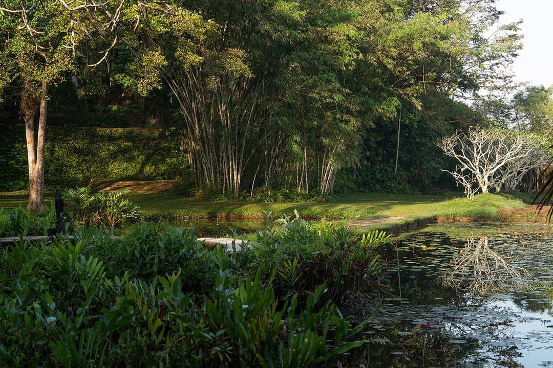 Lunuganga Bentota garden pond among trees