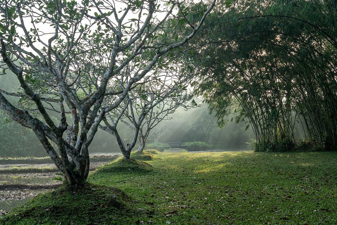 Lunuganga Bentota garden house lawn exterior