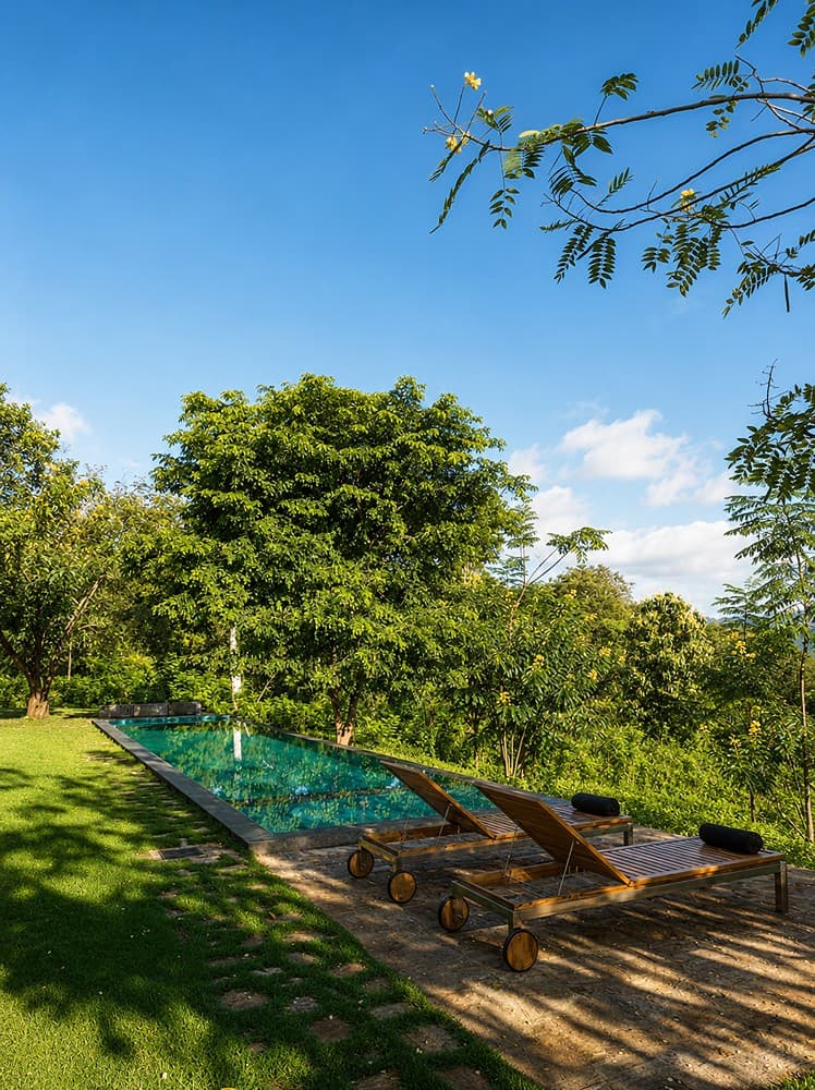 Kurundu House Digana pool loungers in the garden