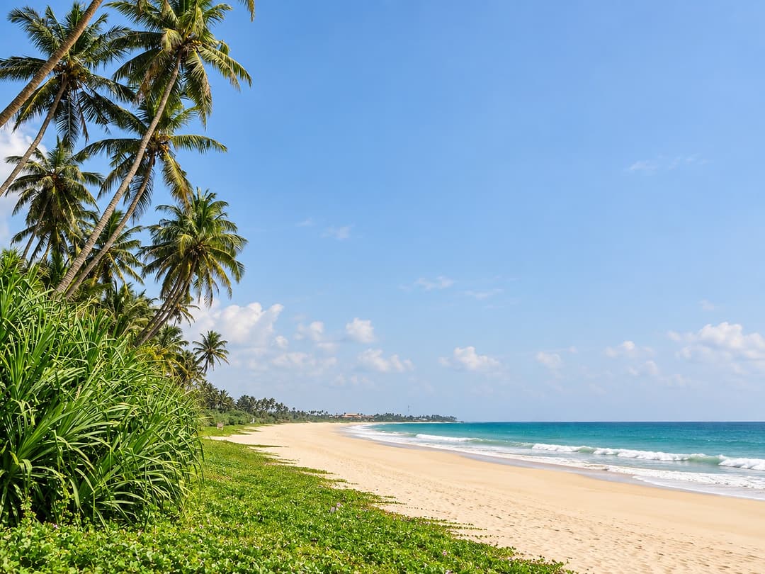 Villa Marisol beach exterior with palm trees