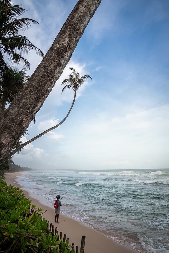 Tide House Habaraduwa aerial beach coastline with palms